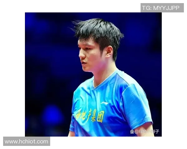 樊振东与张禹珍半决赛精彩对决央视解说全程回顾与分析